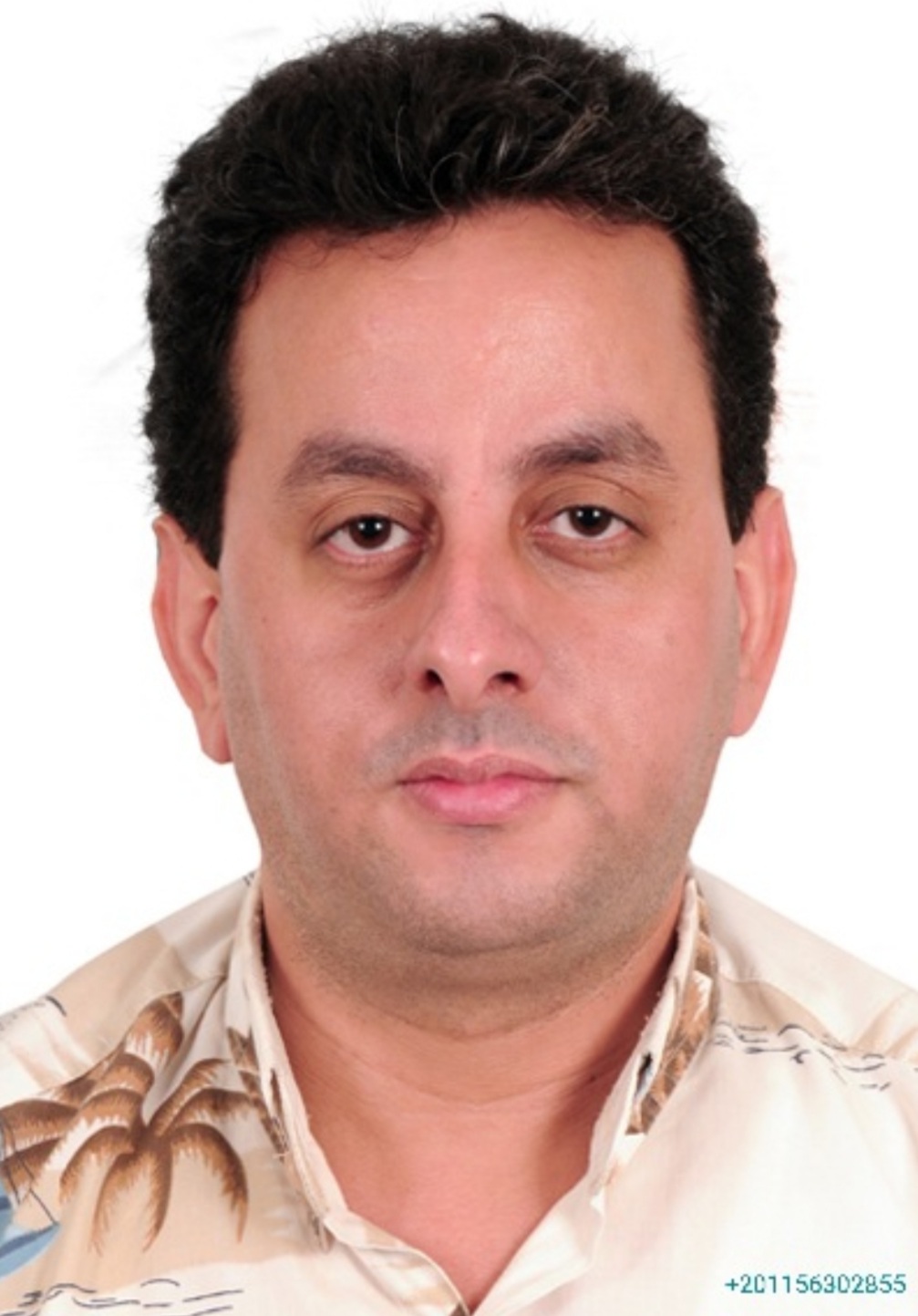 مصطفى فتحى محمد بدوى